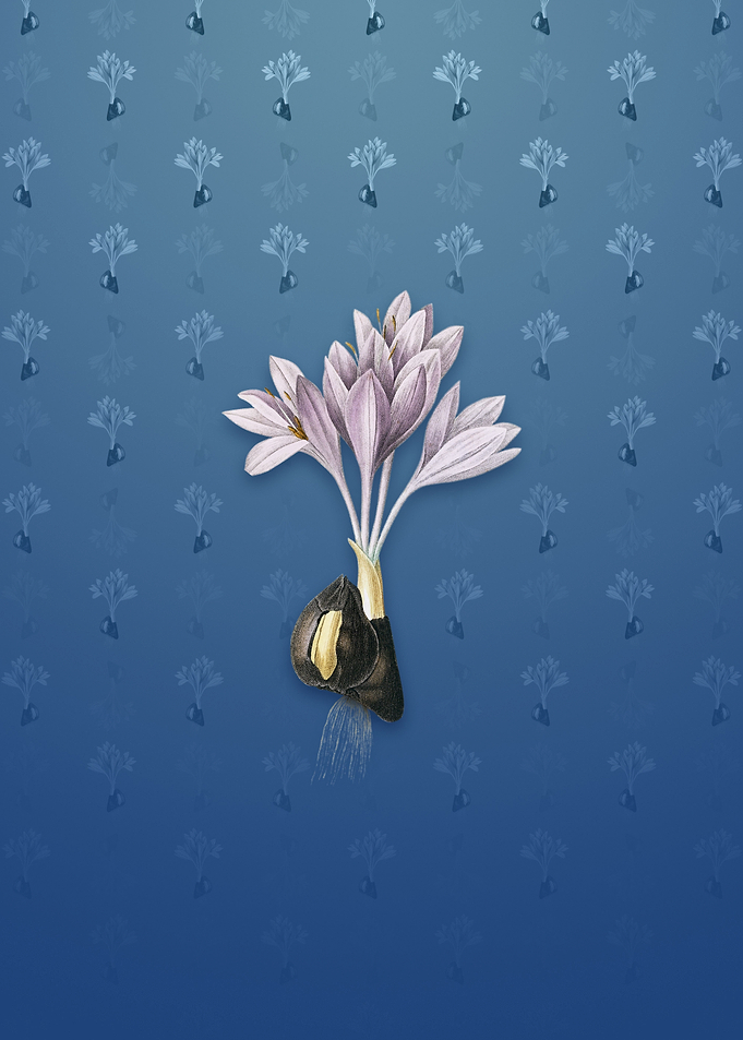 Vintage Autumn Crocus