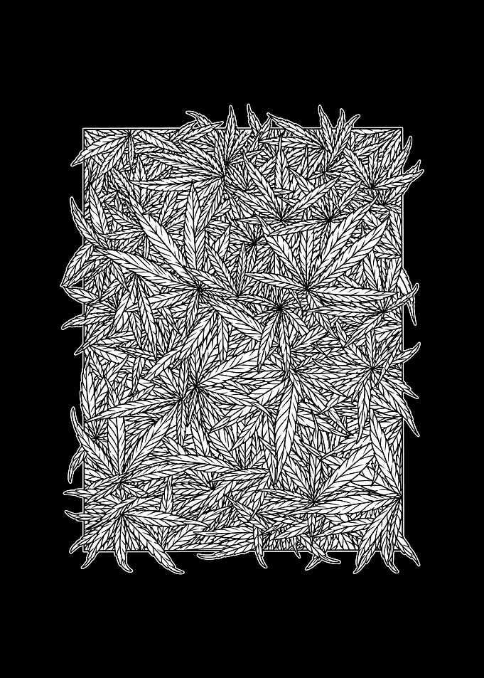 Weeds Leaf BnW