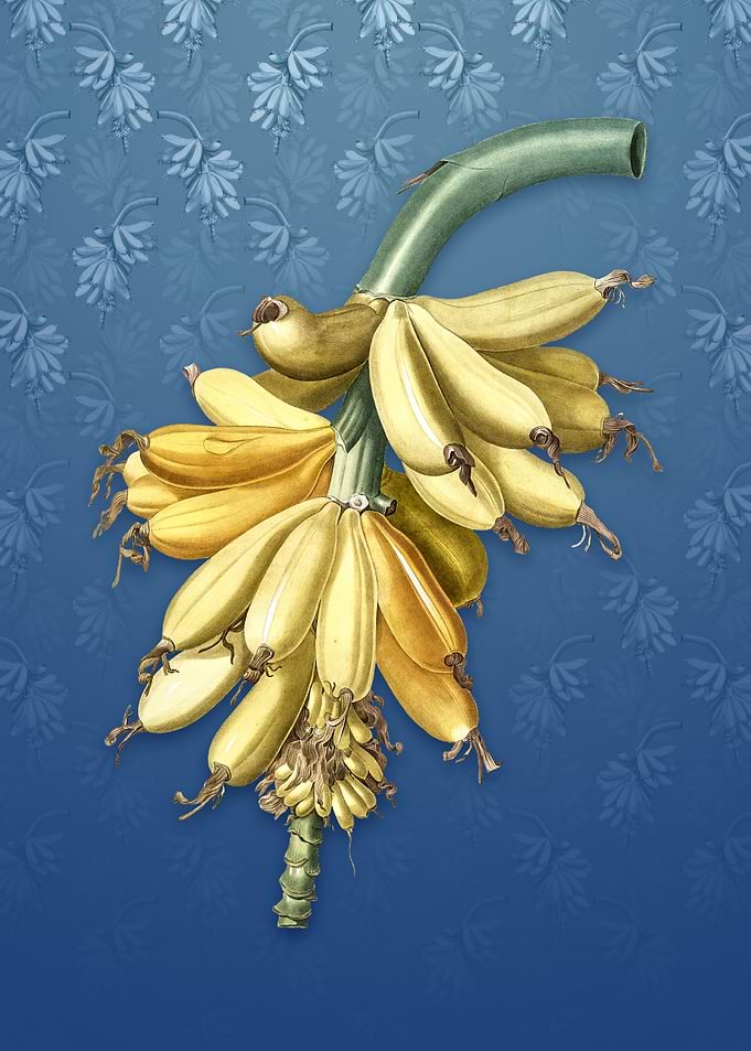 Banana on Bahama Blue