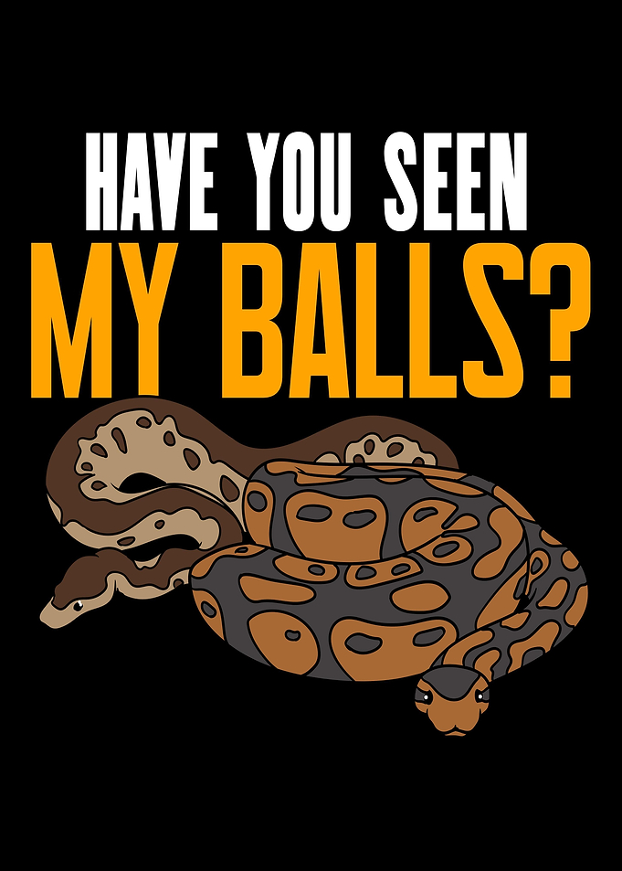 Ball Python Snake