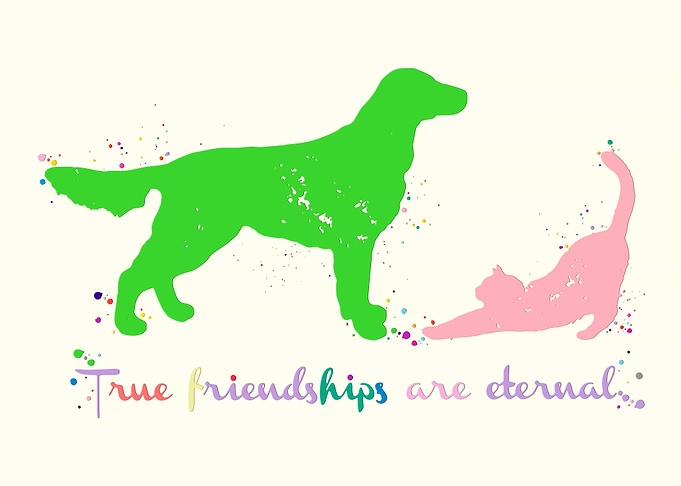 Cat and Dog Friend Quote