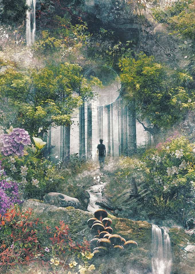Infinity Dream