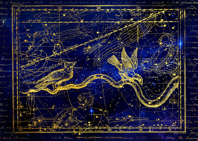 Stellar Cortua Corvus