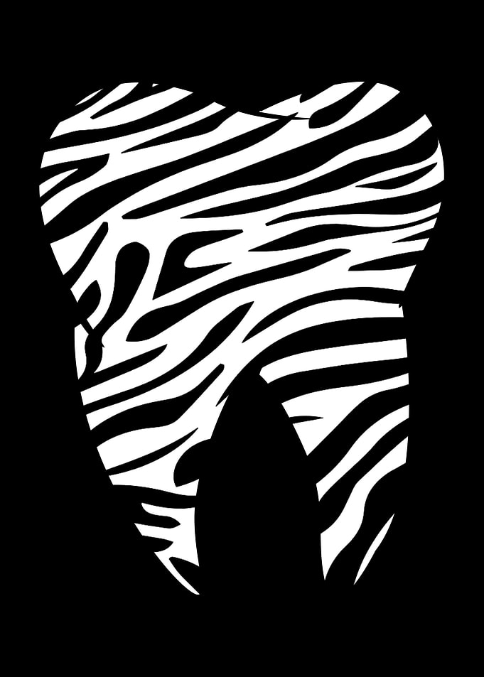 Zebra Tooth Teeth