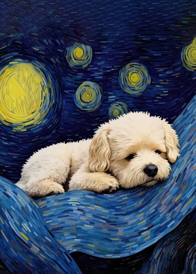 starry night dog Sleepy