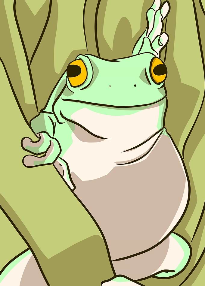 sexy frog