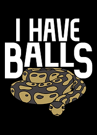 Ball Python Snake