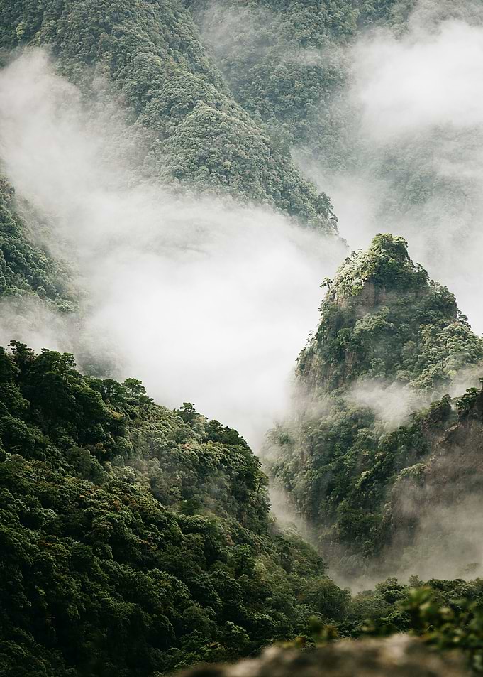 MISTY HILL