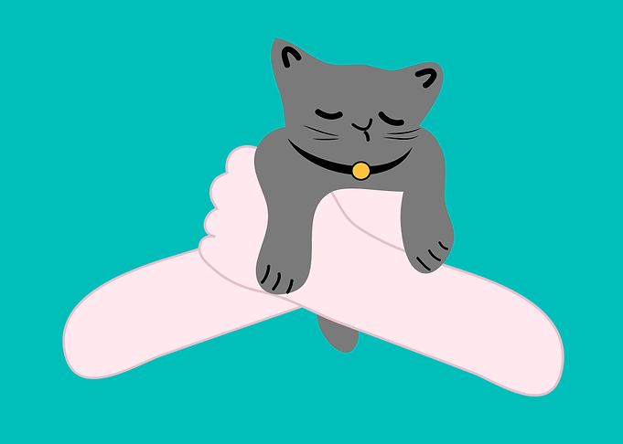 Cat day4