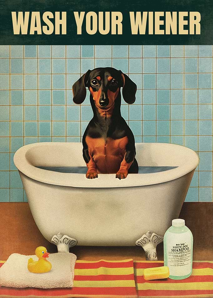 Wash Your Wiener Sign