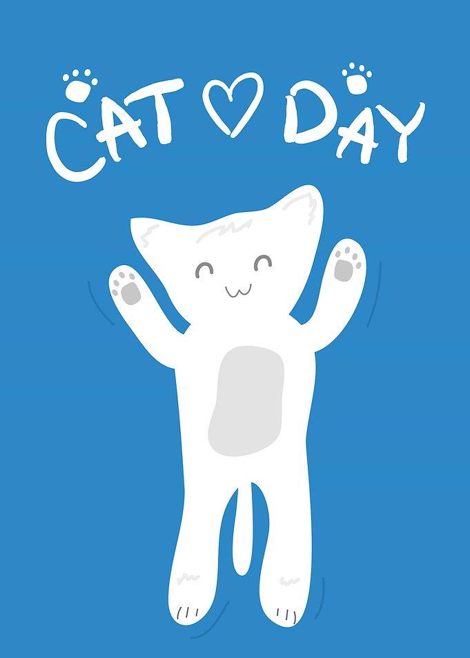 CAT DAY7