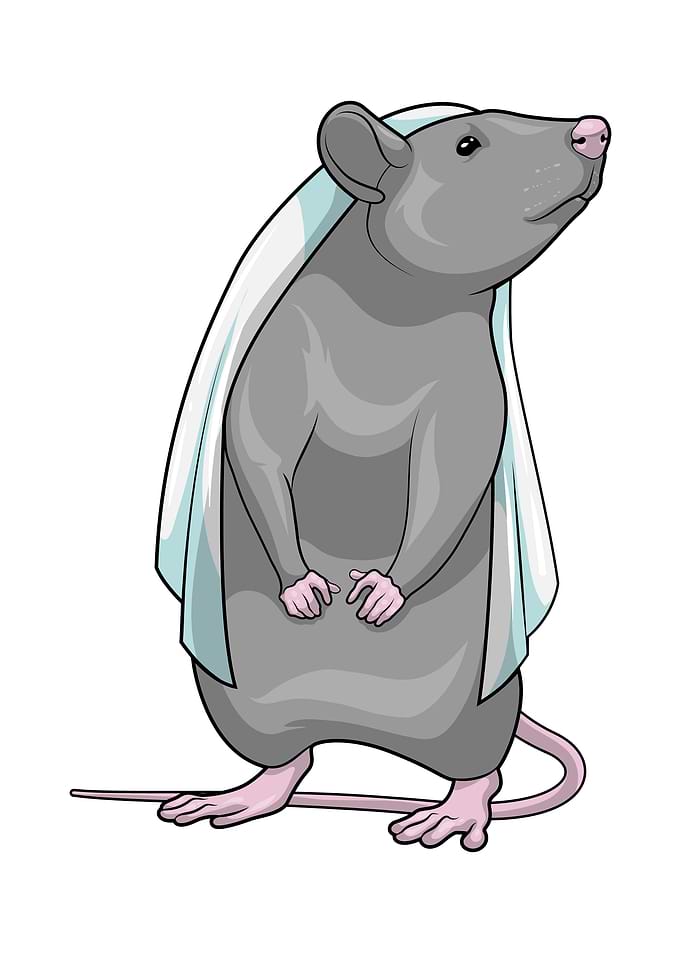 Rat Bride Wedding