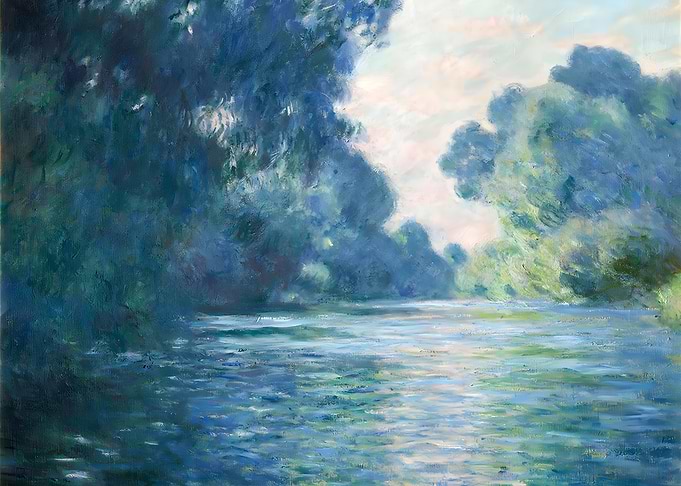Arm of the Seine
