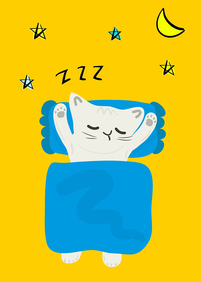 Cat day5