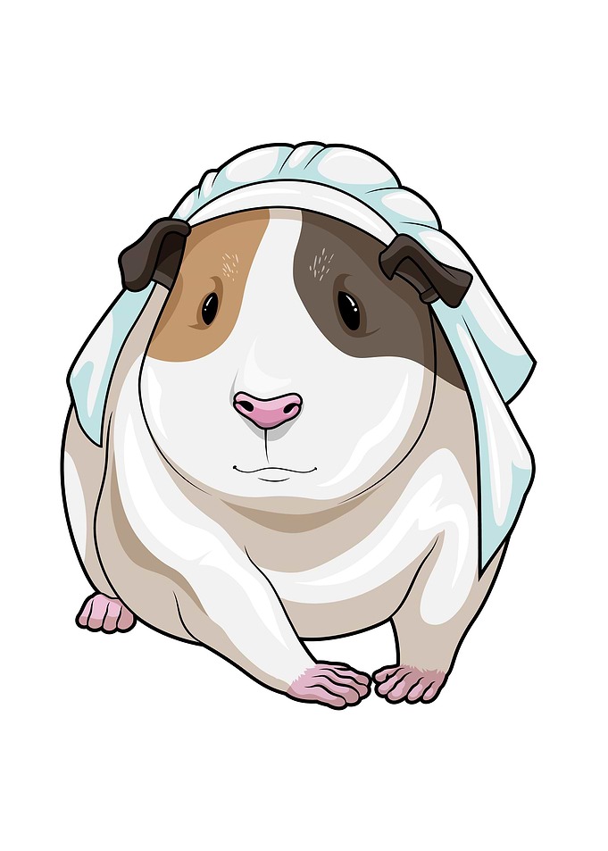 Guinea pig Bride Wedding