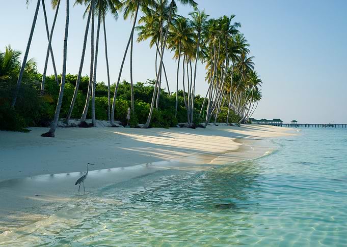 Maldives
