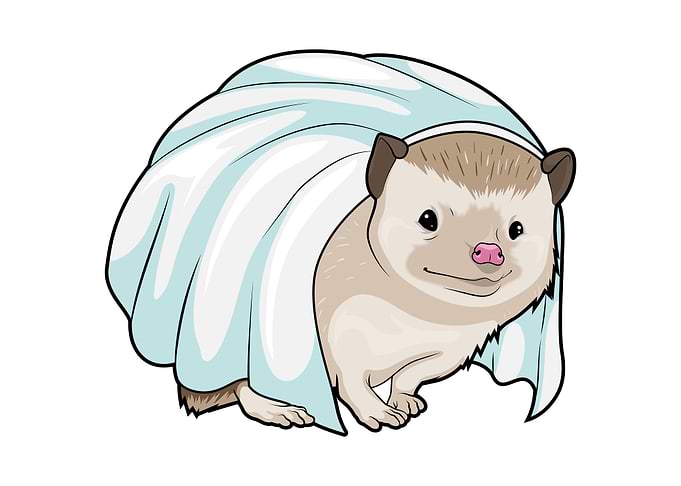 Hedgehog Bride Wedding