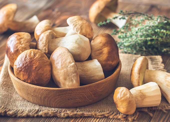 Bowl of porcini mushrooms