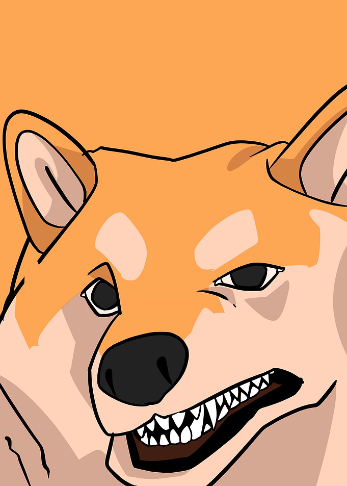 angry doge face
