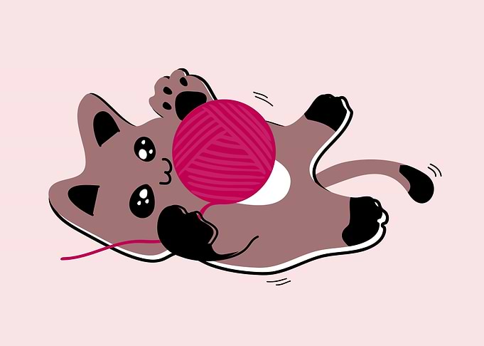 Cat day3