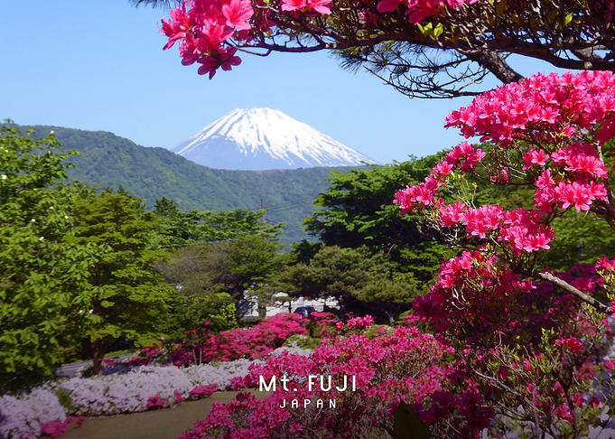 Mount Fuji
