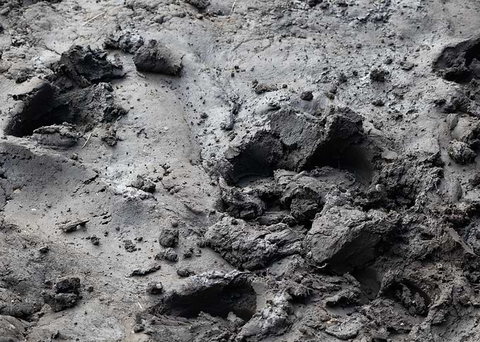 Mud Abstract