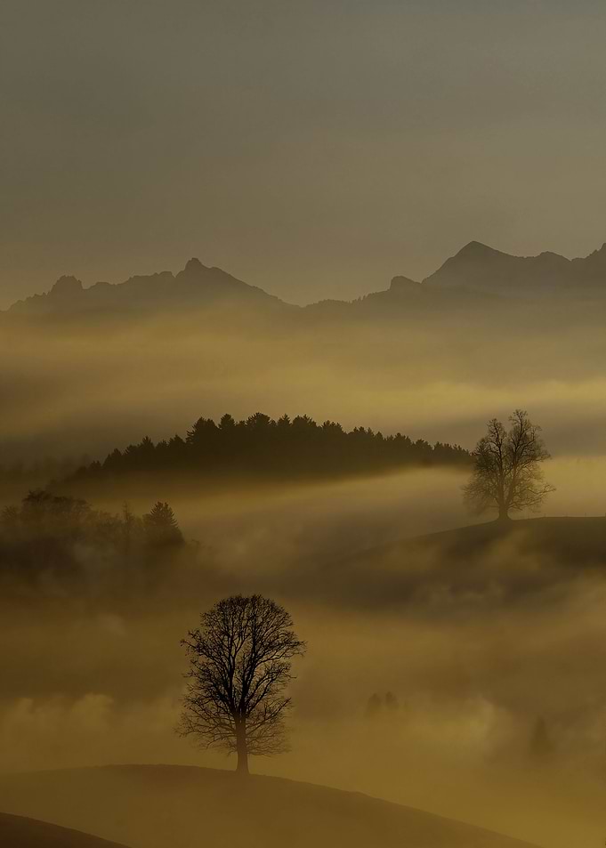 MISTY MOUNTAIN