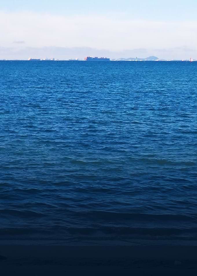 the sea