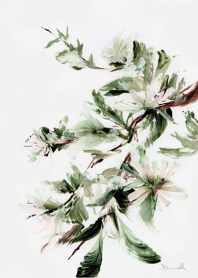 Bloom