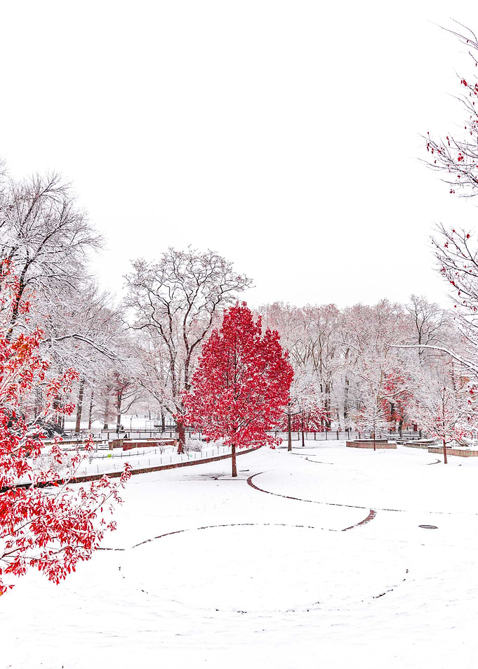 Landscape Photography