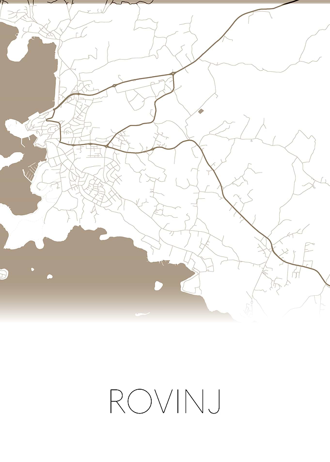 Rovinj gold and white map