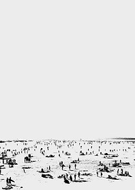 Beach No2