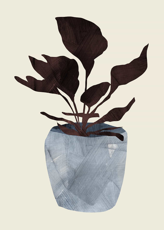Country Plant