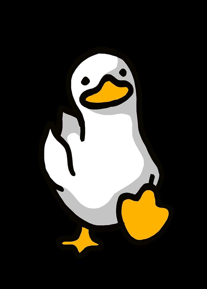 Funny White Duck