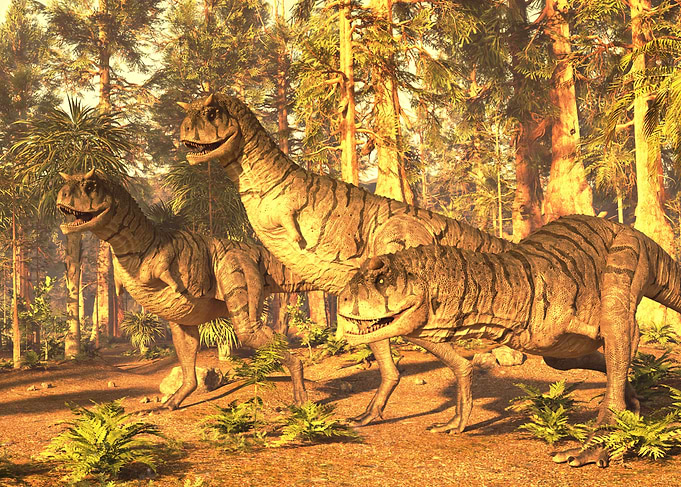Carnotaurus dinosaur