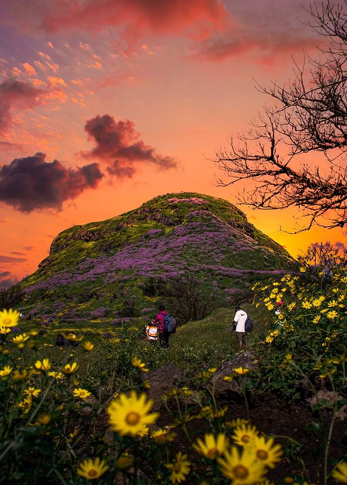 Landscape Photography
