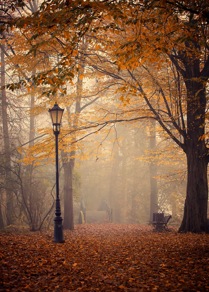 Autumn path, bridge, park
