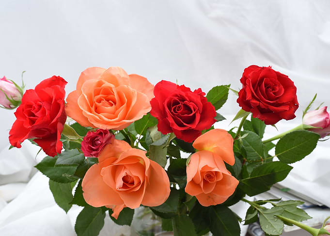 Rose bouquet