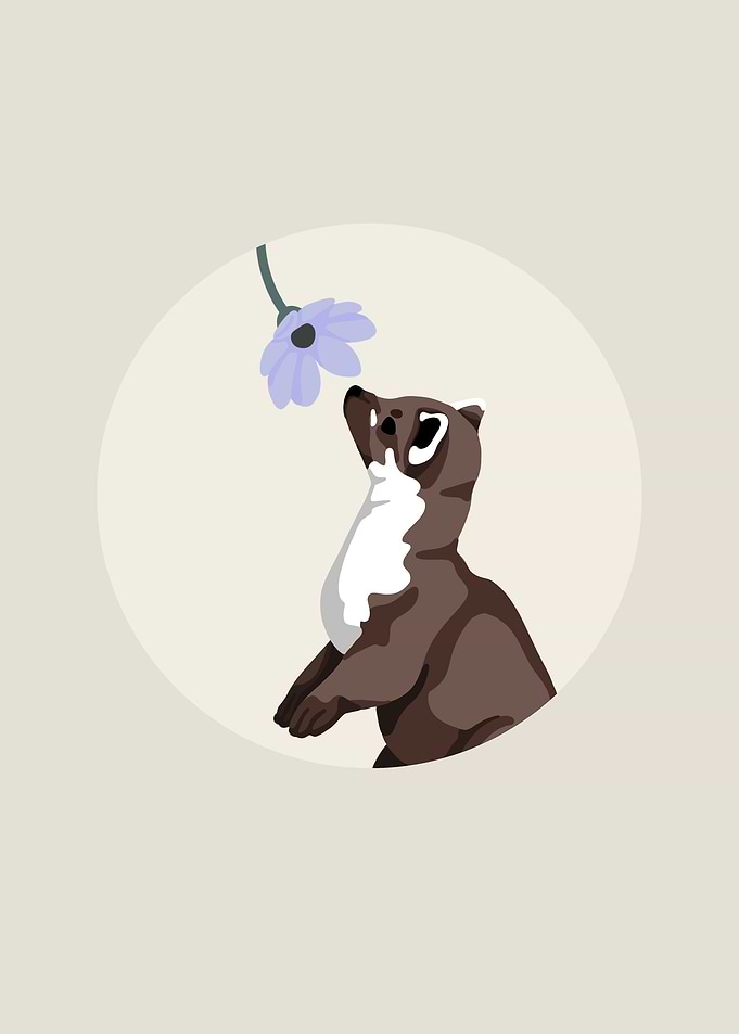 Ferret Smelling Flower