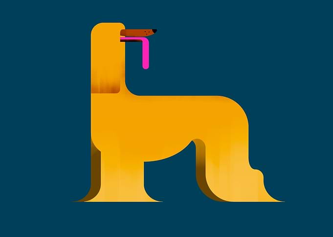Stylized Afghan Hound
