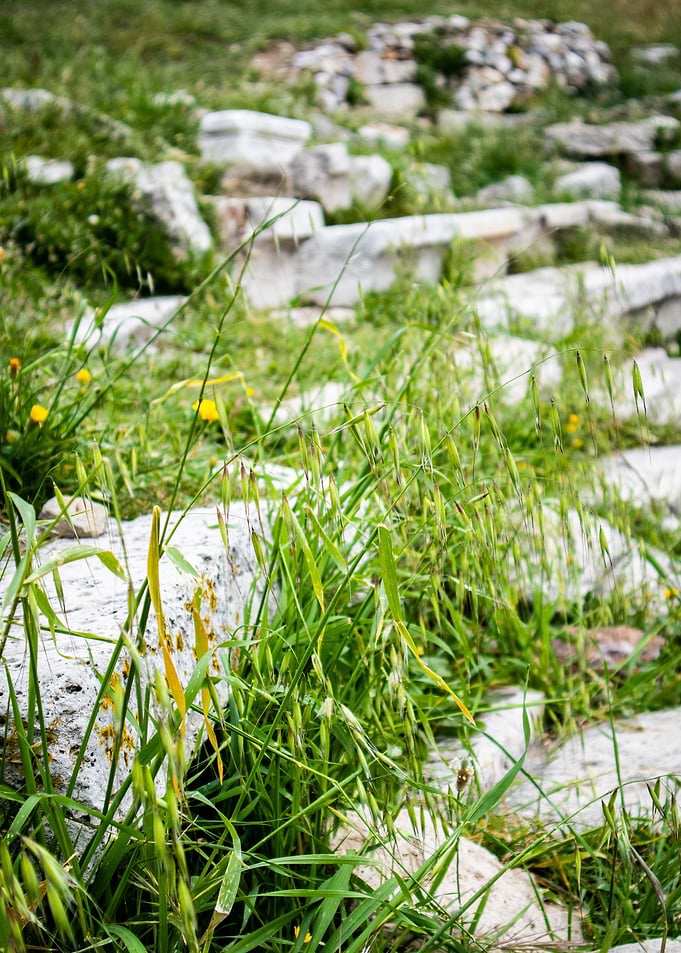Grey Stone Trail