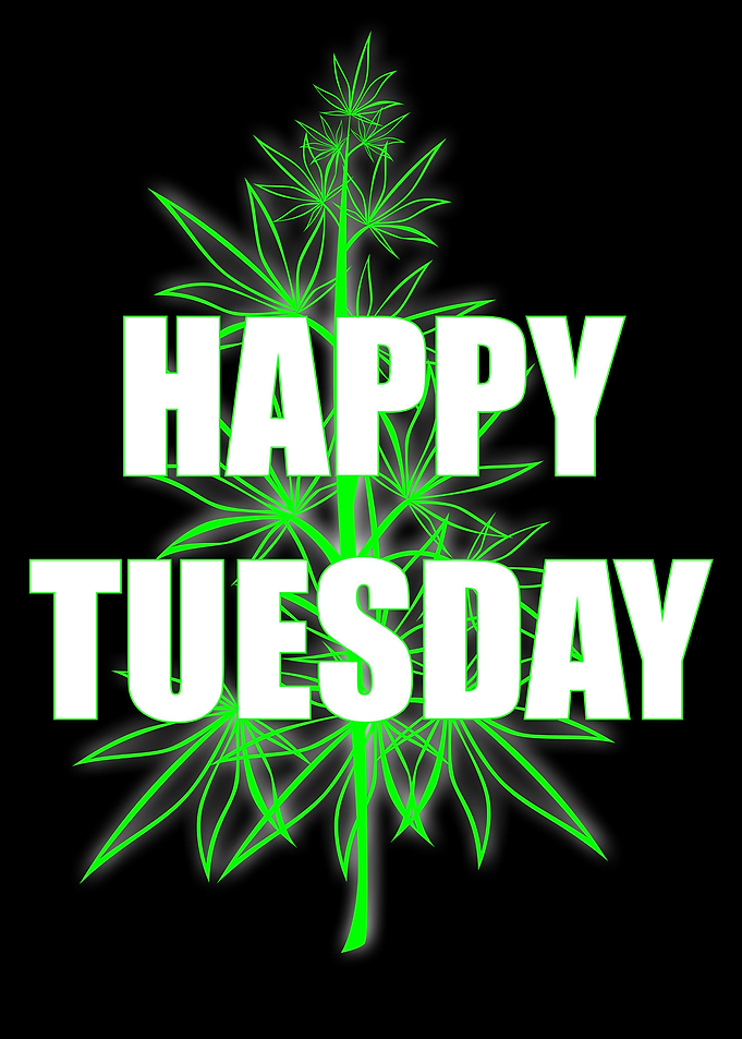 Happy Tuesday