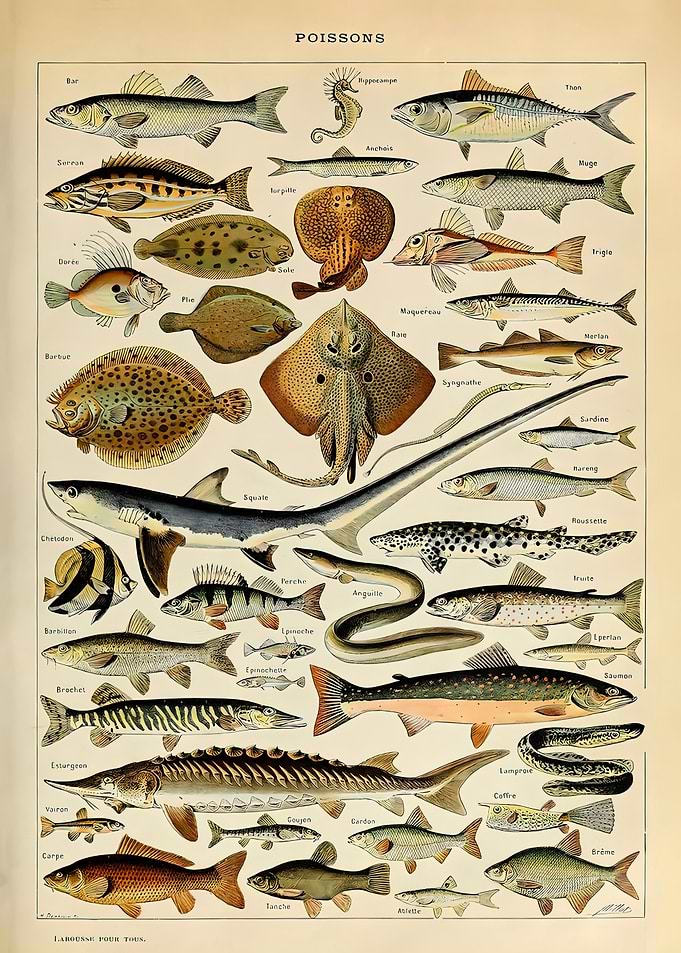 Vintage Adolphe Millot