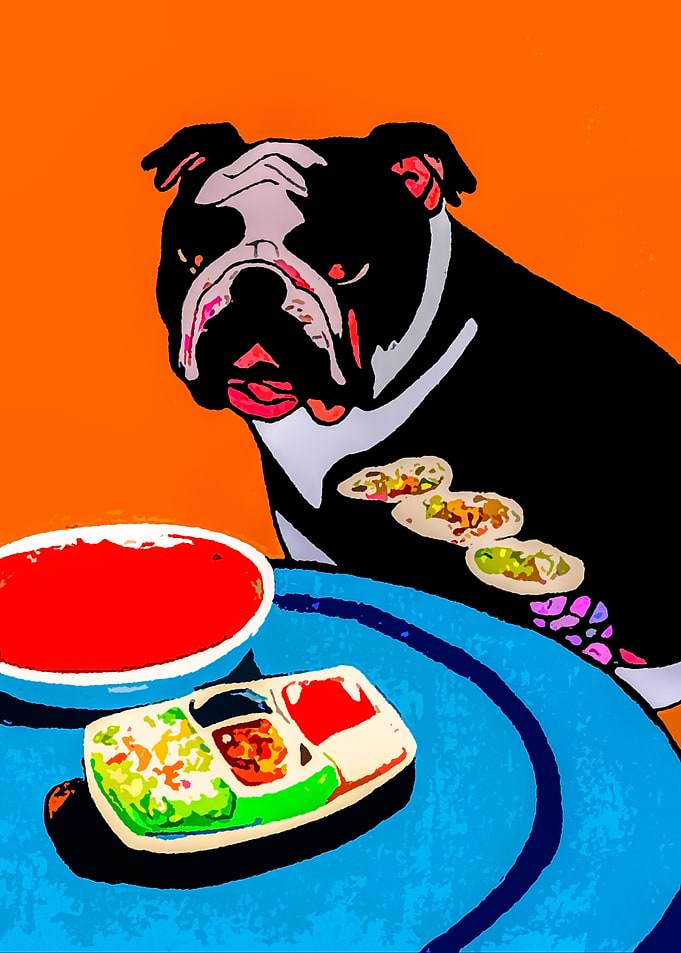 Dog eat sushi