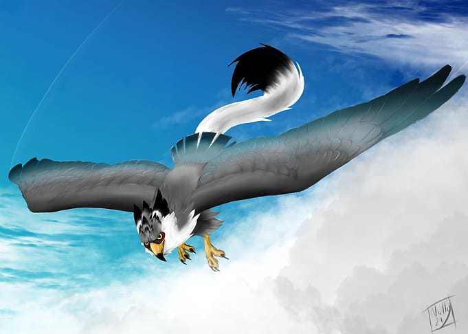 Griffon above the clouds