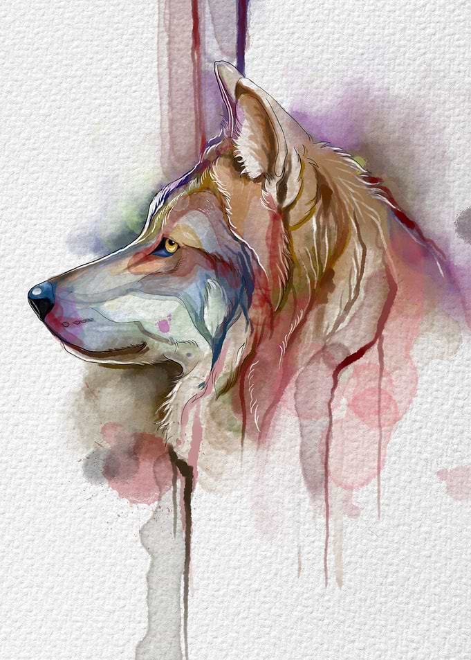 wolf watercolor painting