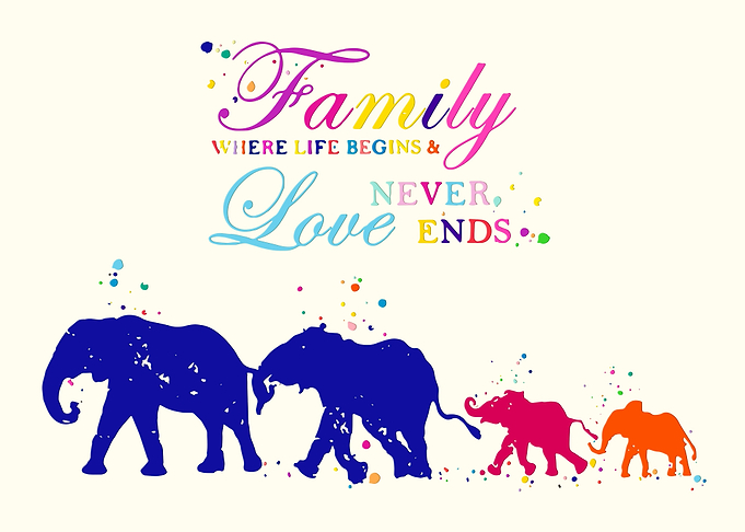 Elephants Two Moms