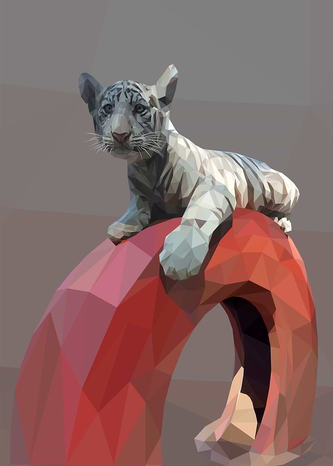 White Tiger Cub Playing