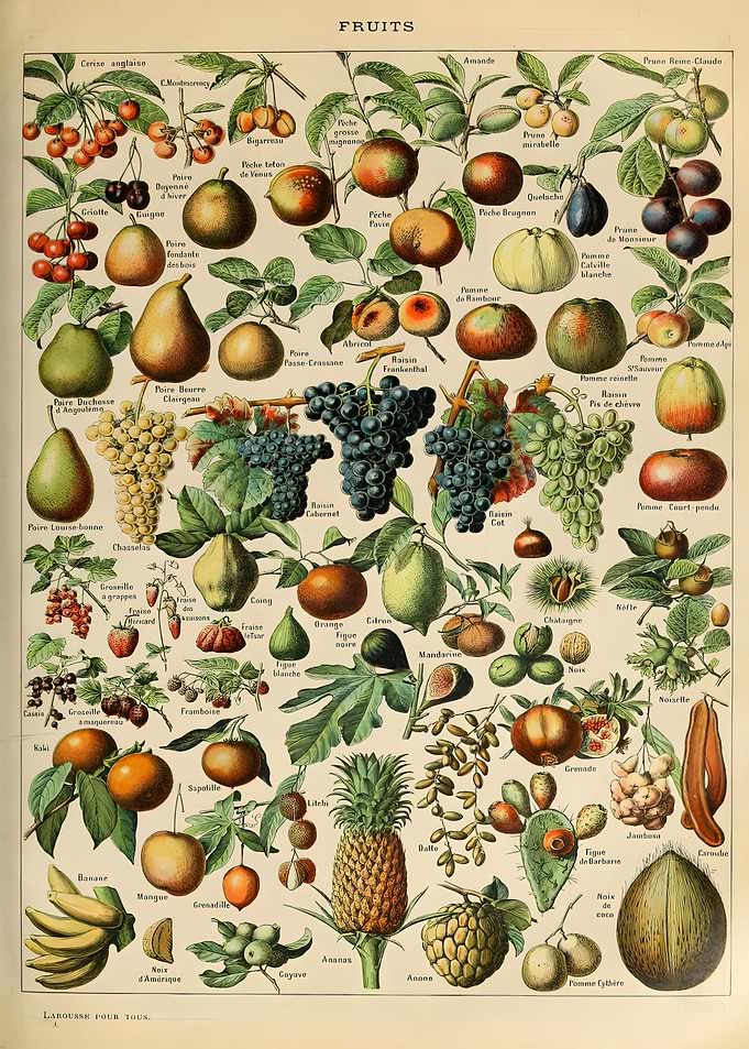 Vintage Adolphe Millot