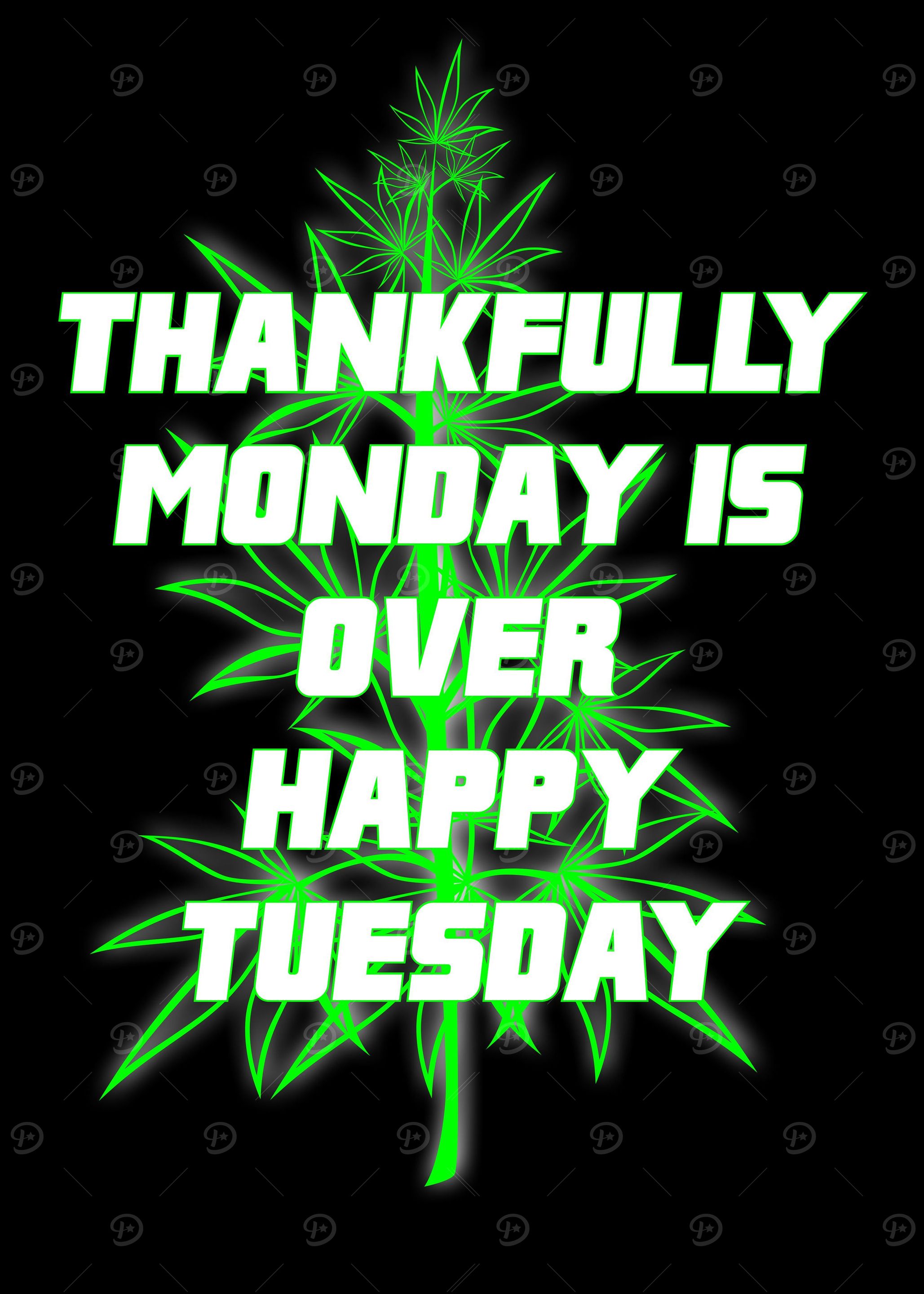 happy tuesday